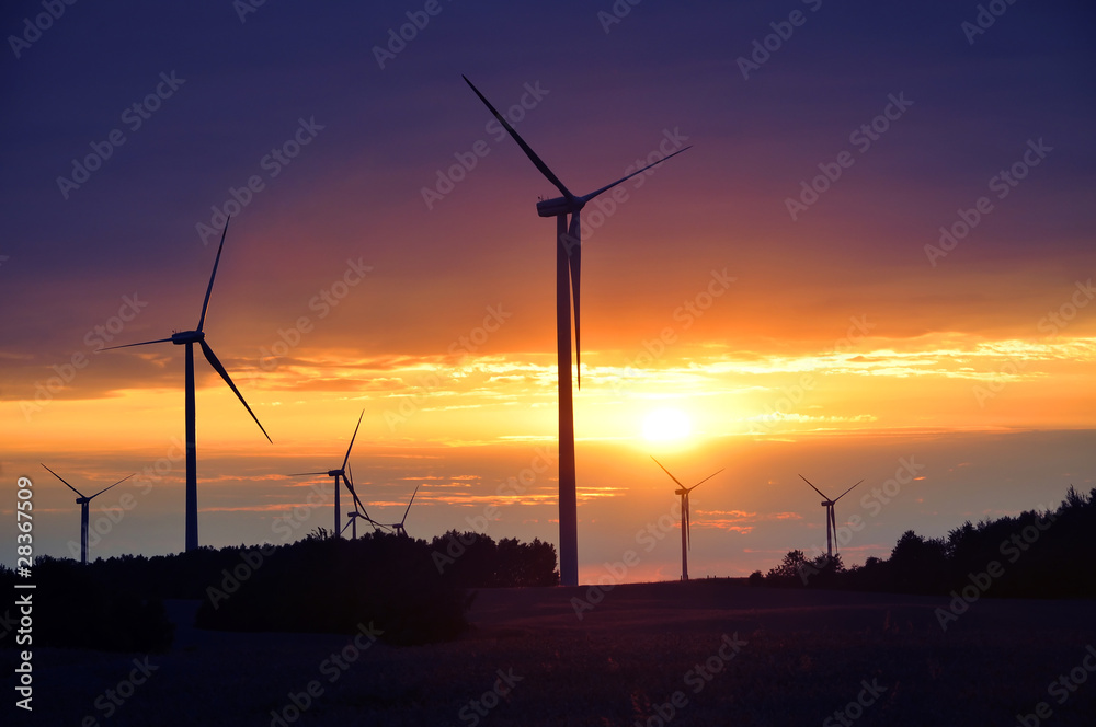 Fototapeta premium Wind turbines during beautiful sunset