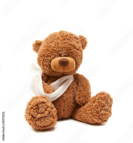 Teddy in sick © Eva Vargyasi