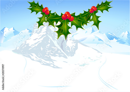 Weihnachten- Stechpalme