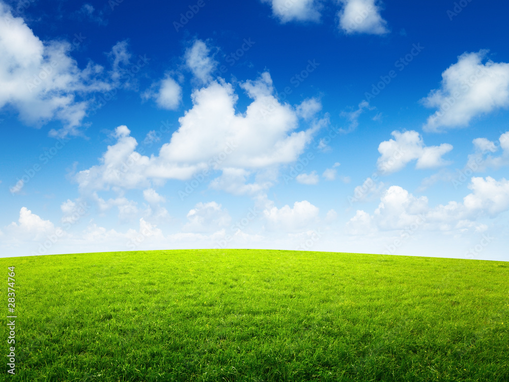 green field and sunny day