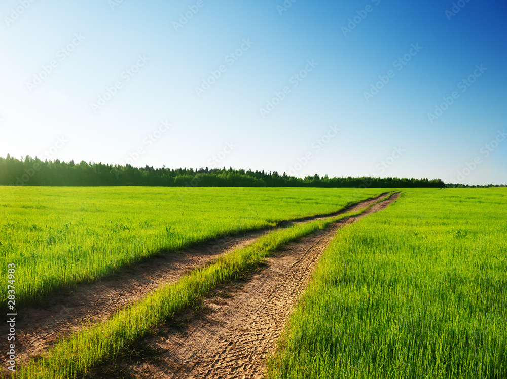 ground road and sunset