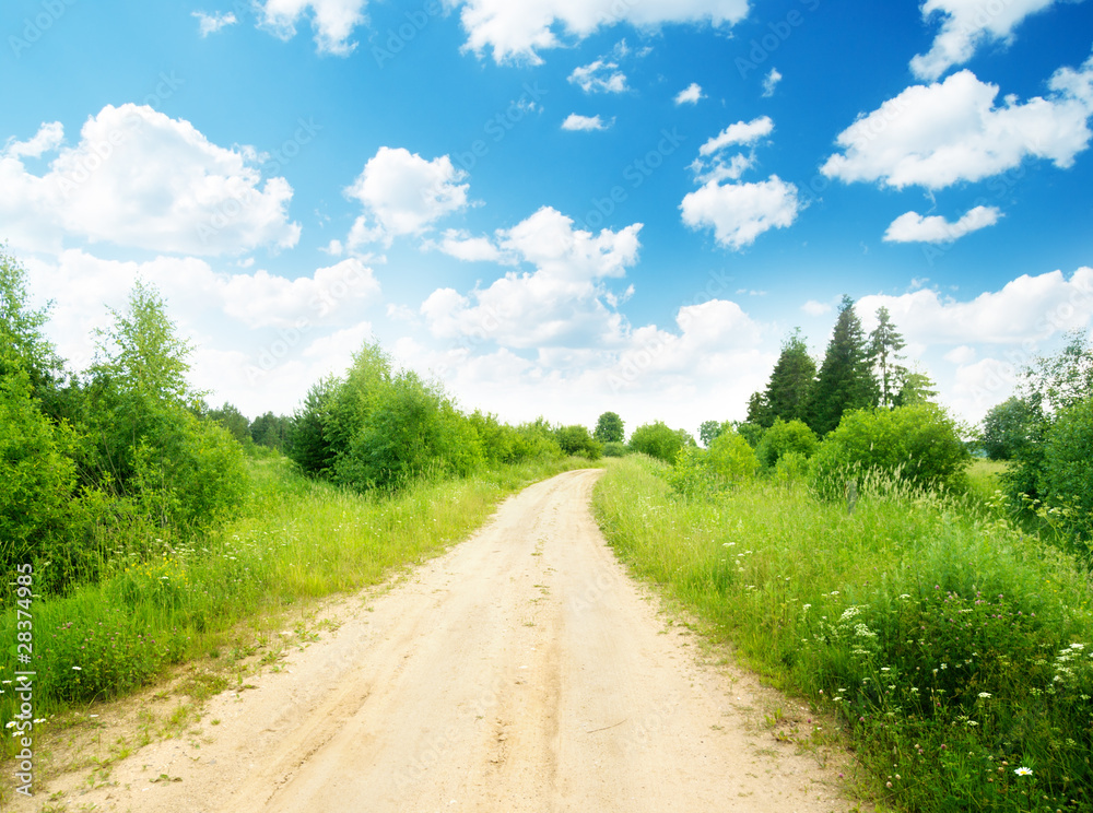 ground road and summer sunny day