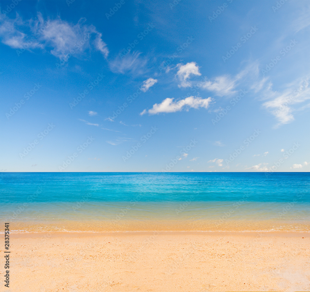 beach and tropical sea