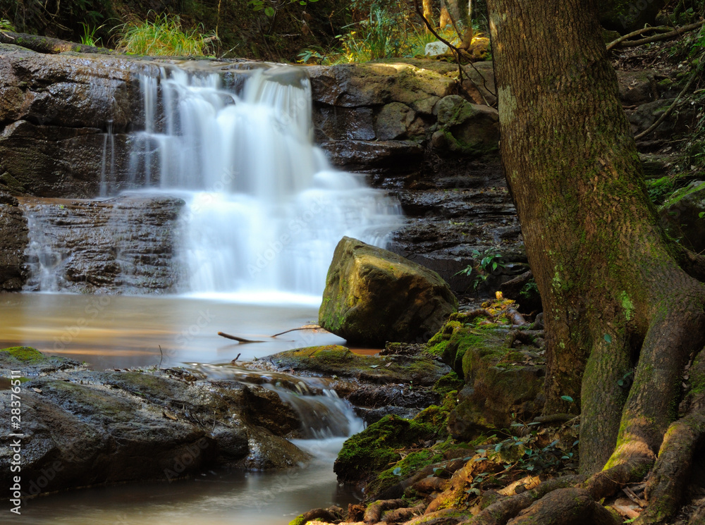 Fototapeta premium Wasserfall im Wald
