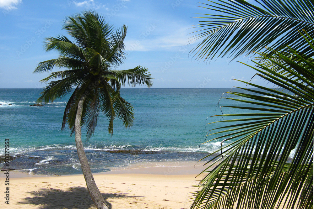 Badebucht in Tangalle