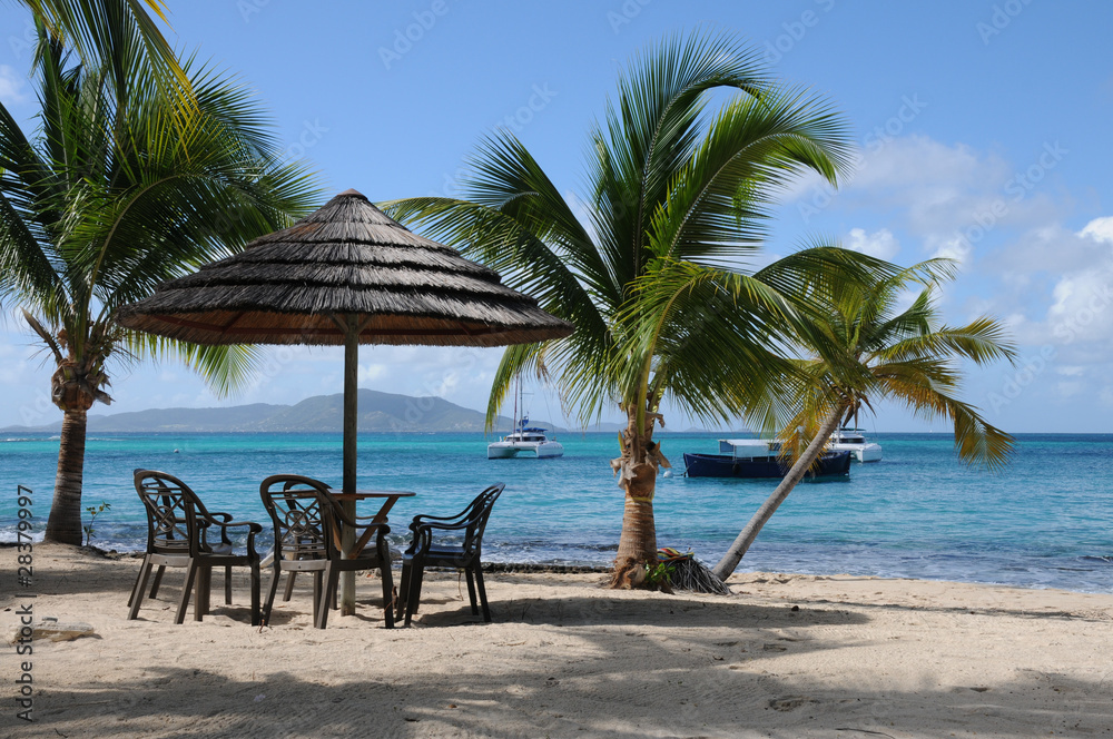 Obraz na płótnie sandy beach with palms in the Grenadines w salonie