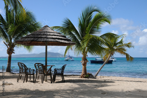 sandy beach with palms in the Grenadines