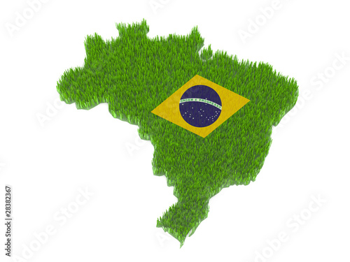 brasil nation map with grass