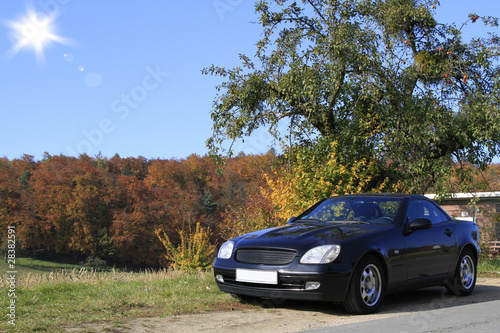 Sportwagen vor einem Baum