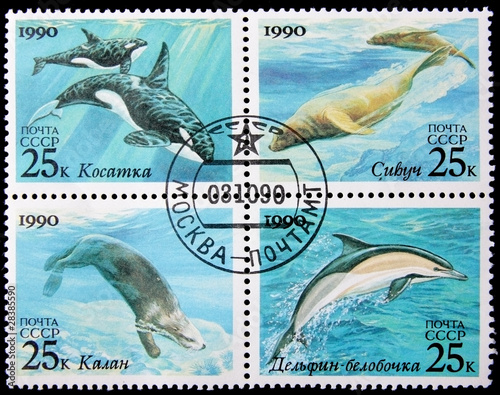 sea mammals postage