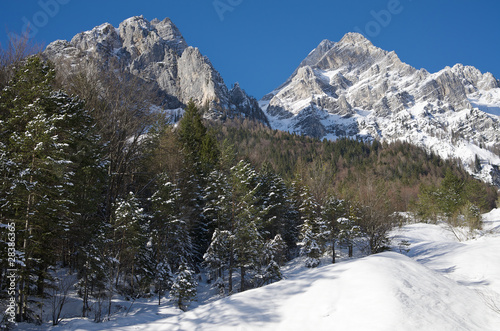 Mountains with snow, forest in the middle.