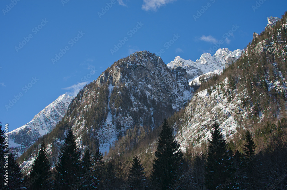 Mountains with snow, trees in the foreground.