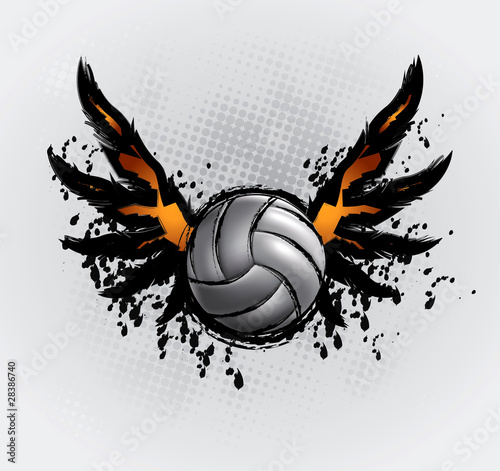 Volleyball Ball Set 6