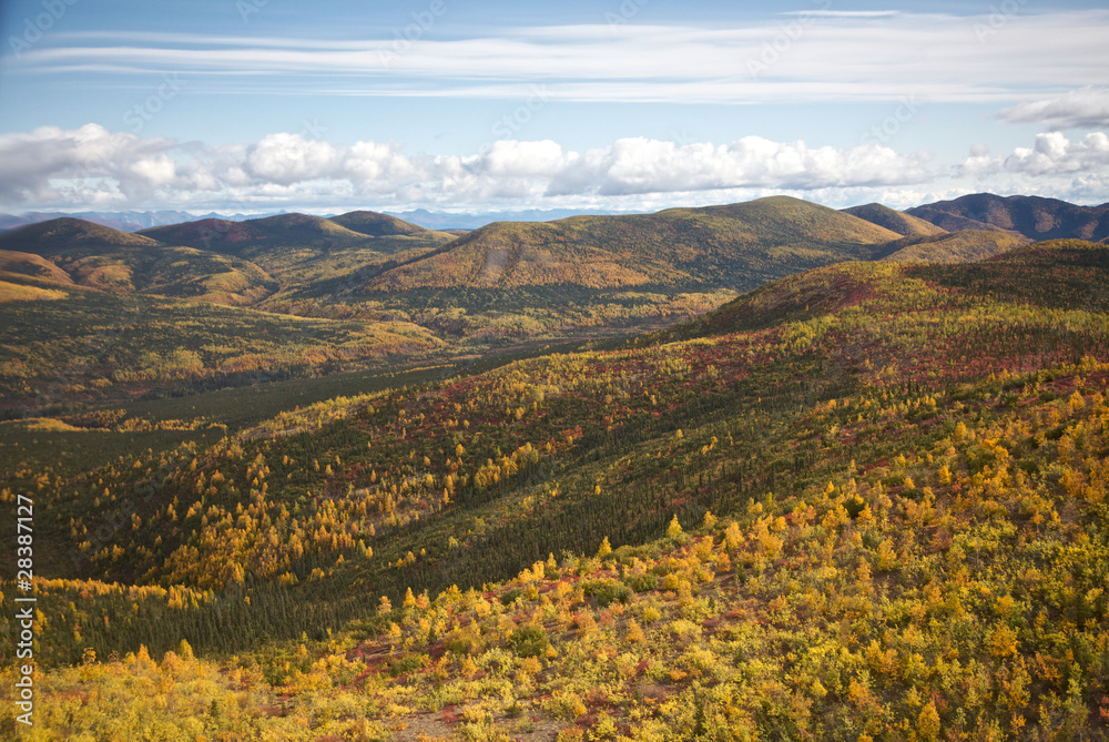 Fototapeta premium Colorful Hillside