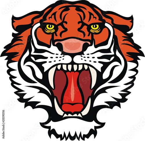 tiger
