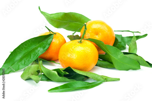 mandarin with green leaves isolated on white