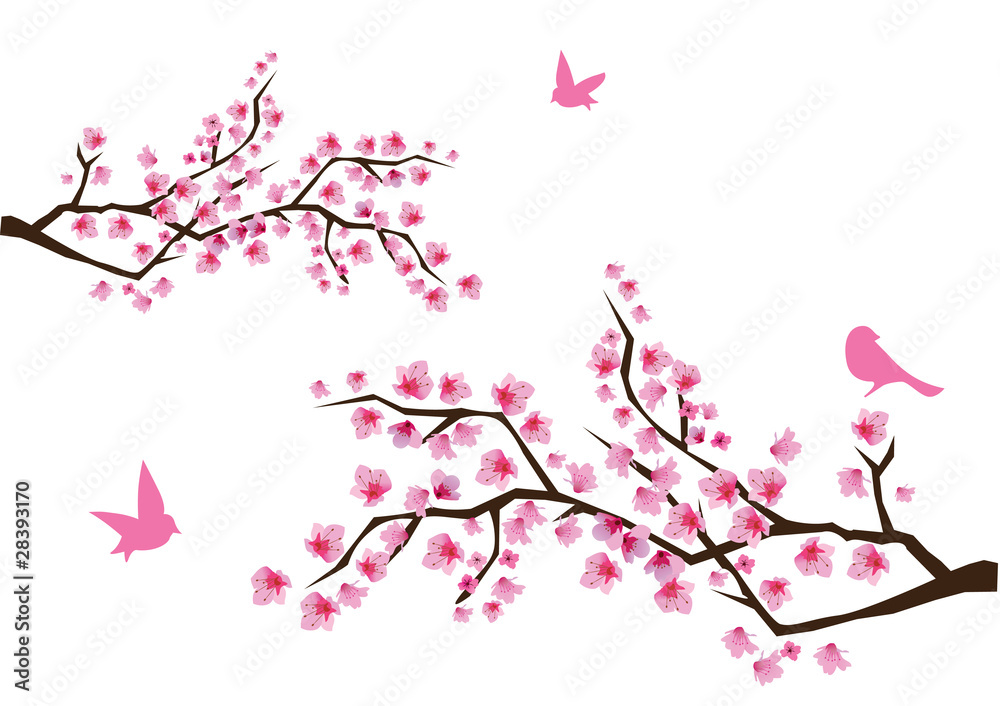 Naklejka premium cherry blossom with birds