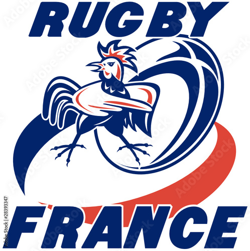 rugby france rooster ball