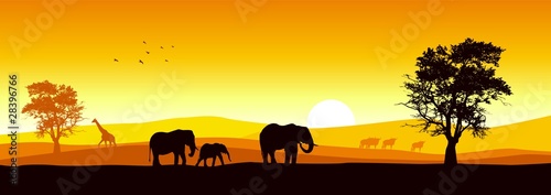 Stock vector of African wildlife