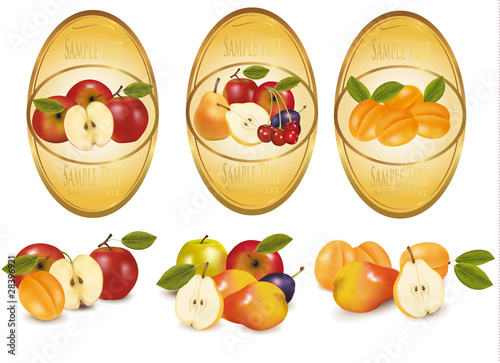 Three labels with different sorts of fruit. Vector.