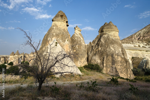 Rock Formation Pasabagi Cappadocia, Turkey