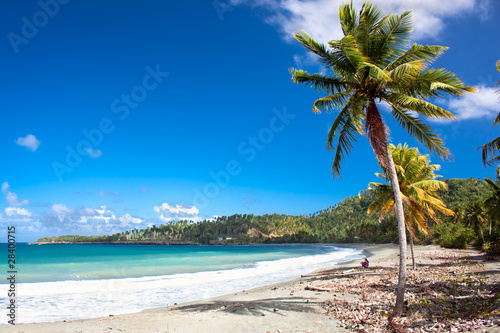 Tableau sur toile Beautiful tropical  beach in Baracoa, Cuba