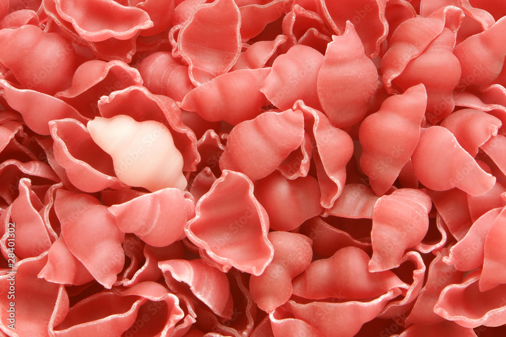 Close-up of italian pasta - colored seashells