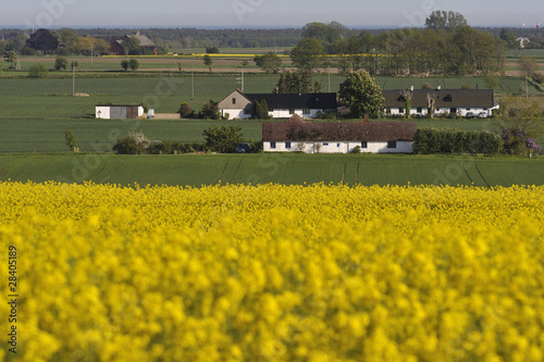 Agricultural district with small farms in Österlen,Sweden