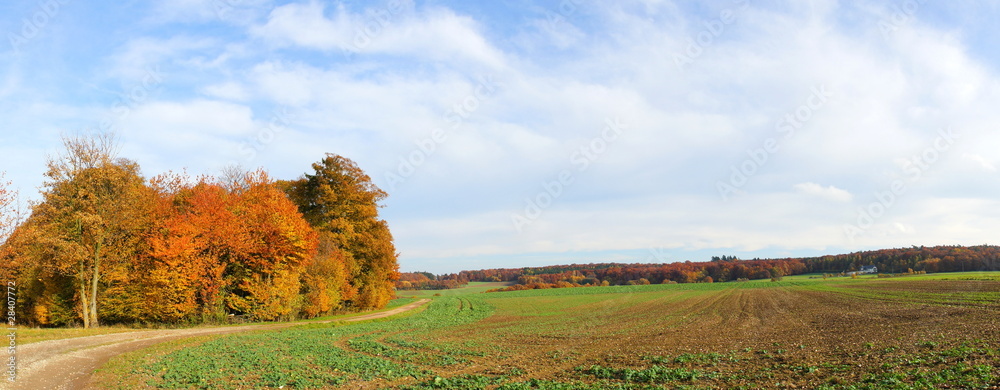 Herbstlandschaft Panorama - obrazy, fototapety, plakaty 