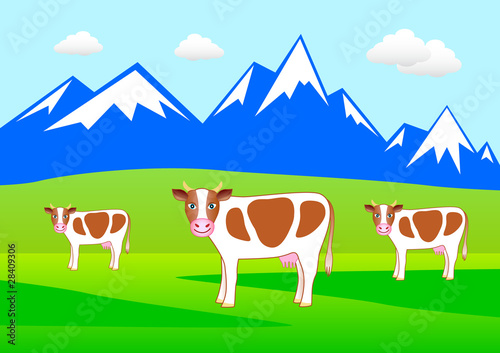 Three cows on the meadow