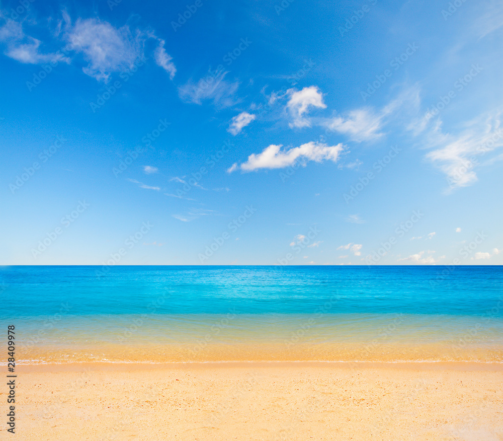 beach and tropical sea