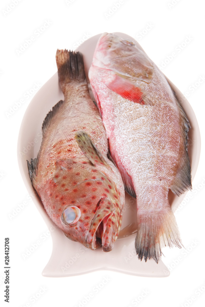 set of fresh raw fish on plate set of fresh raw fish on plate