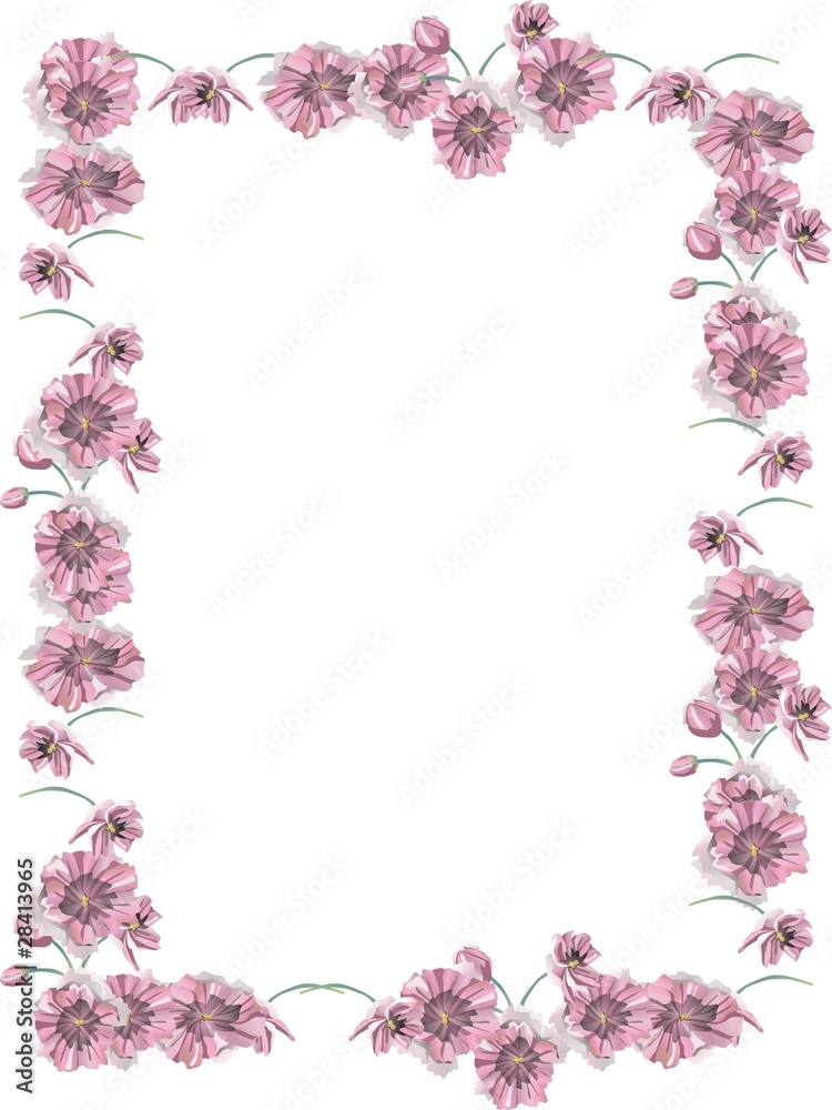 flowers flowers