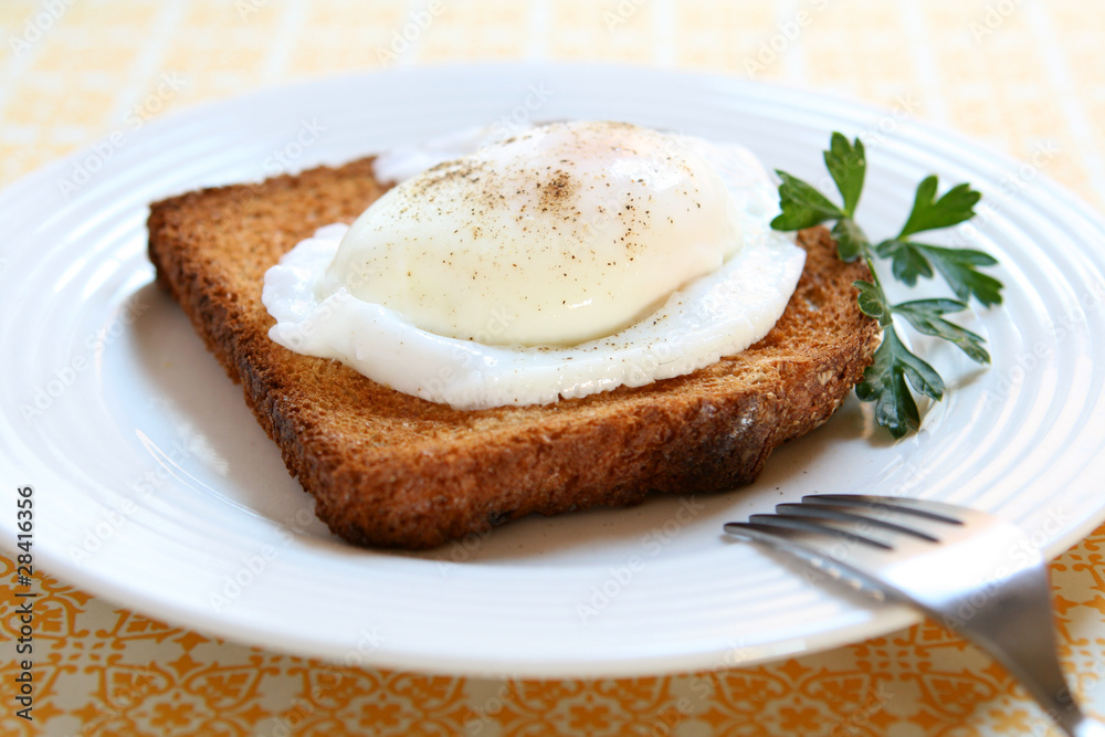Poached Egg on Toast Poached Egg on Toast