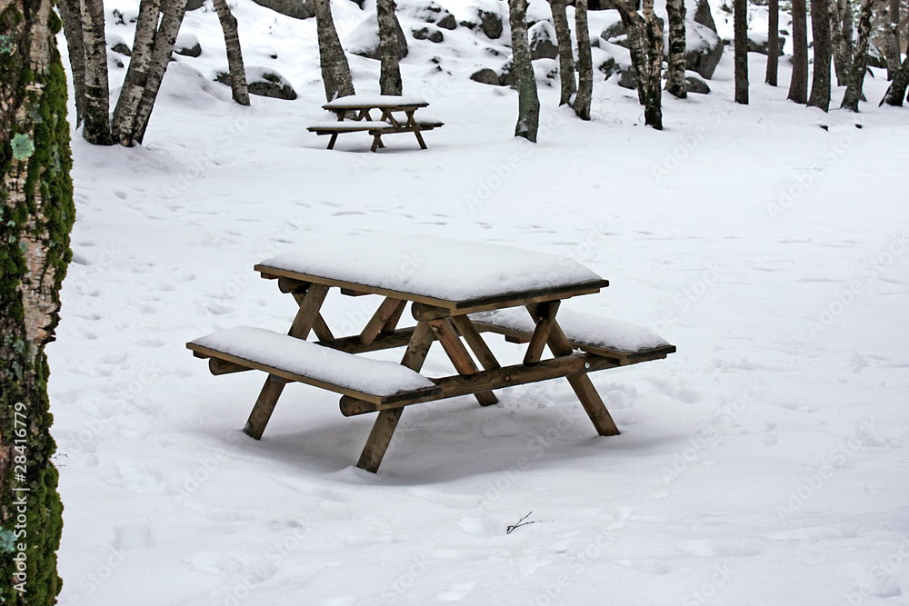 Snow on wooden benches