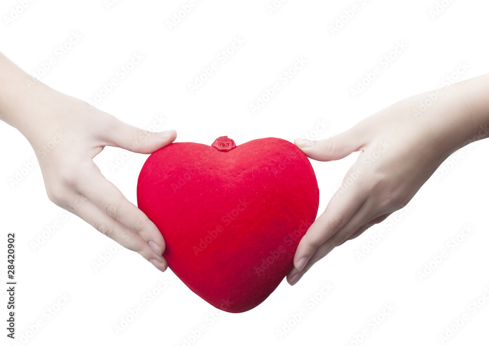 Fototapeta premium red heart in the hands