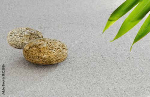 Canvas Print zen