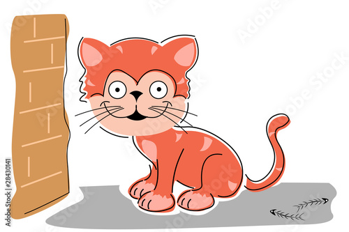 sketchy cat