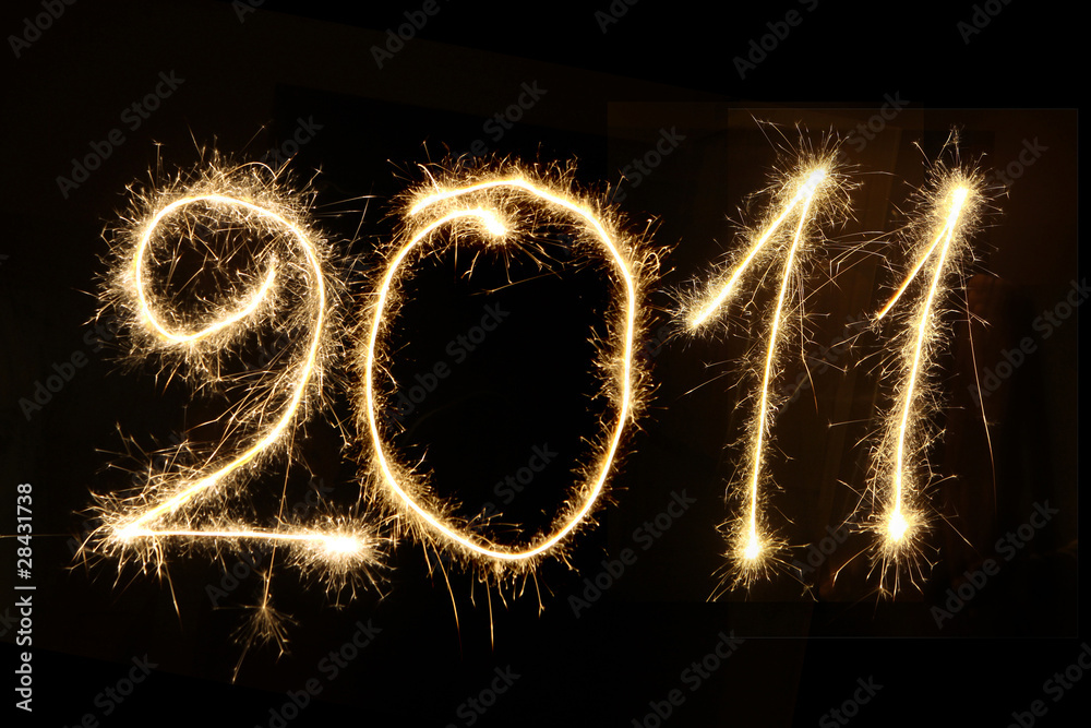 Сaption 2011