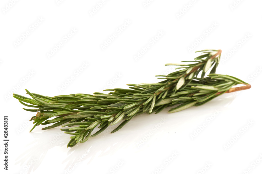 Fototapeta premium Dill