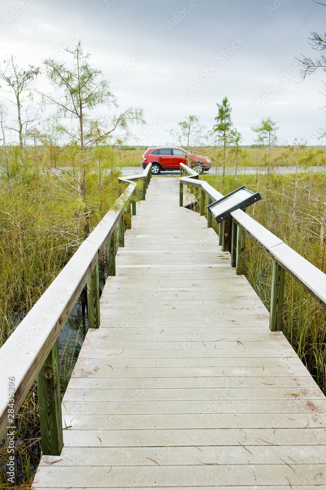 Obraz premium Everglades National Park, Florida, USA