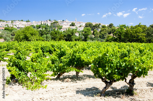 La Cadiere d'Azur with vineyards, Provence, France photo