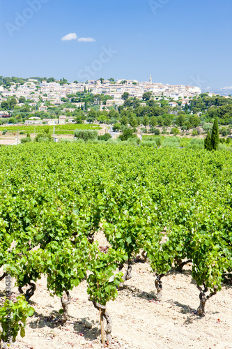 La Cadiere d'Azur with vineyards, Provence, France