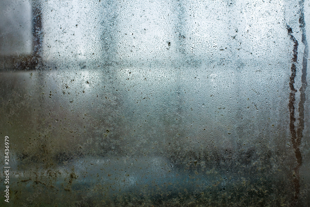 Obraz premium Water drops on window