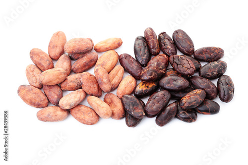 cocoa beans