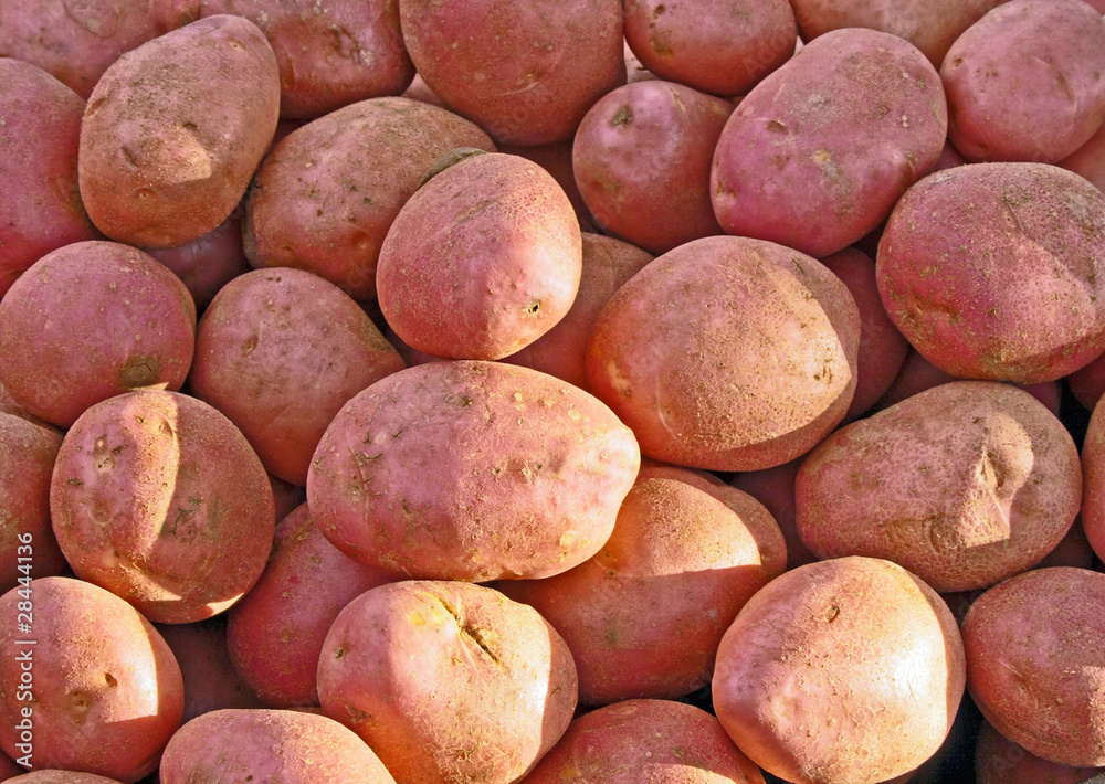 Potatoes Potatoes