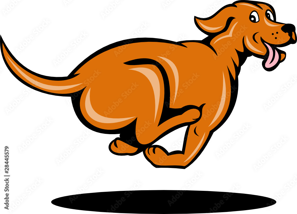 cartoon dog running side view Stock Vector Adobe Stock