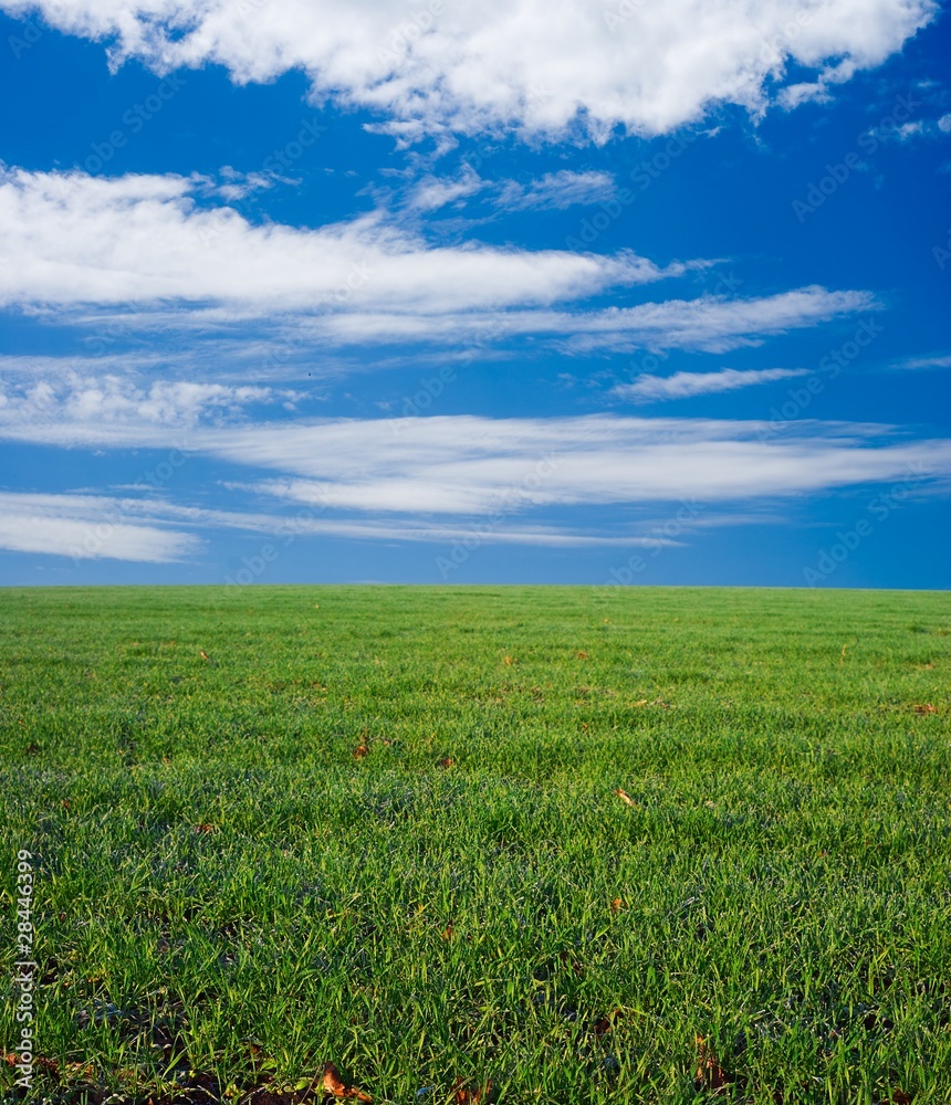 green field under a sky and clouds green field under a sky and clouds