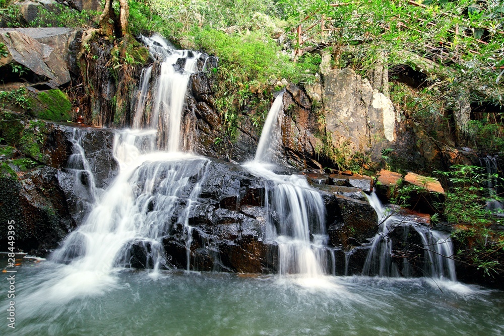 Obraz premium Waterfall in forest