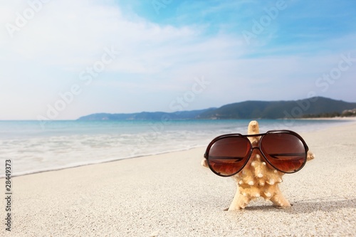 Starfish wearing glasses on beach